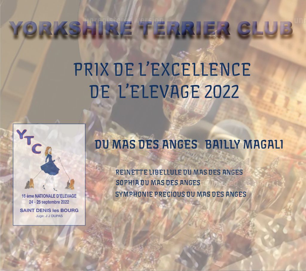 du Mas des Anges - PRIX D'EXCELLENCE 2022