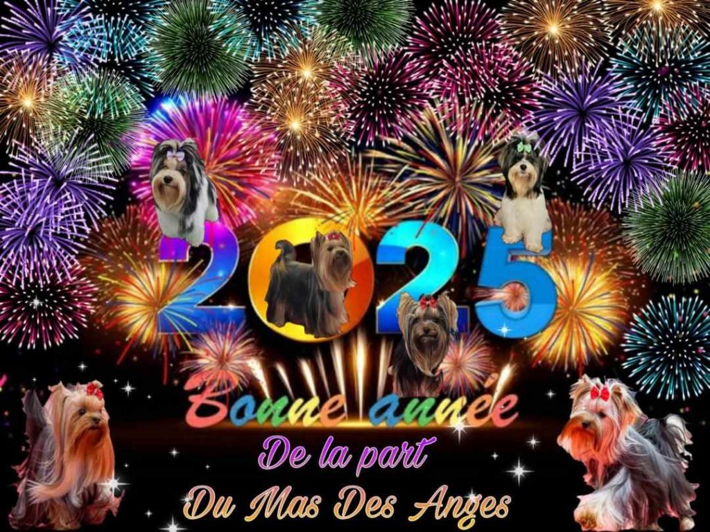 du Mas des Anges - Bonne Année 2025