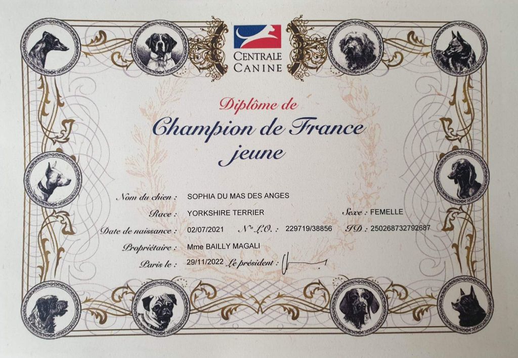 du Mas des Anges - Champion De France Jeune