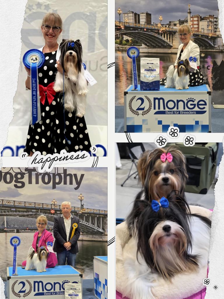 Golden Dog Trophy Liege 