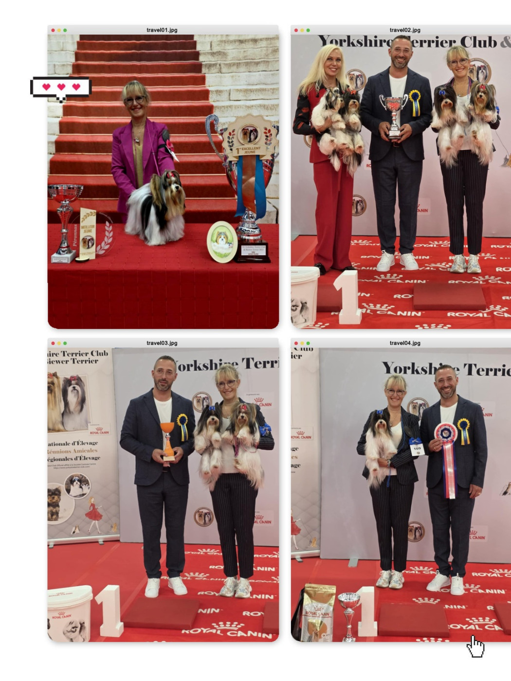 Nationale d'élevage Péronnas 2025