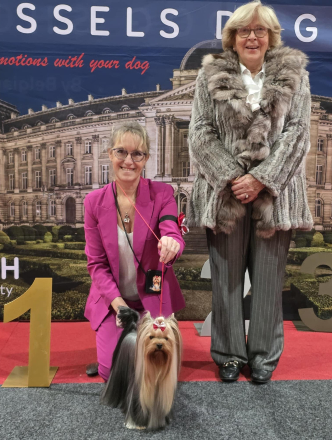 du Mas des Anges - Brussels Dog Show 12/14 Décembre 2025