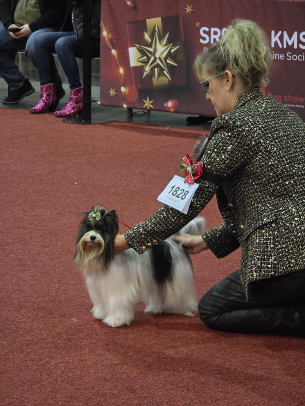du Mas des Anges - Brussels Dog Show 12/14 Décembre 2025