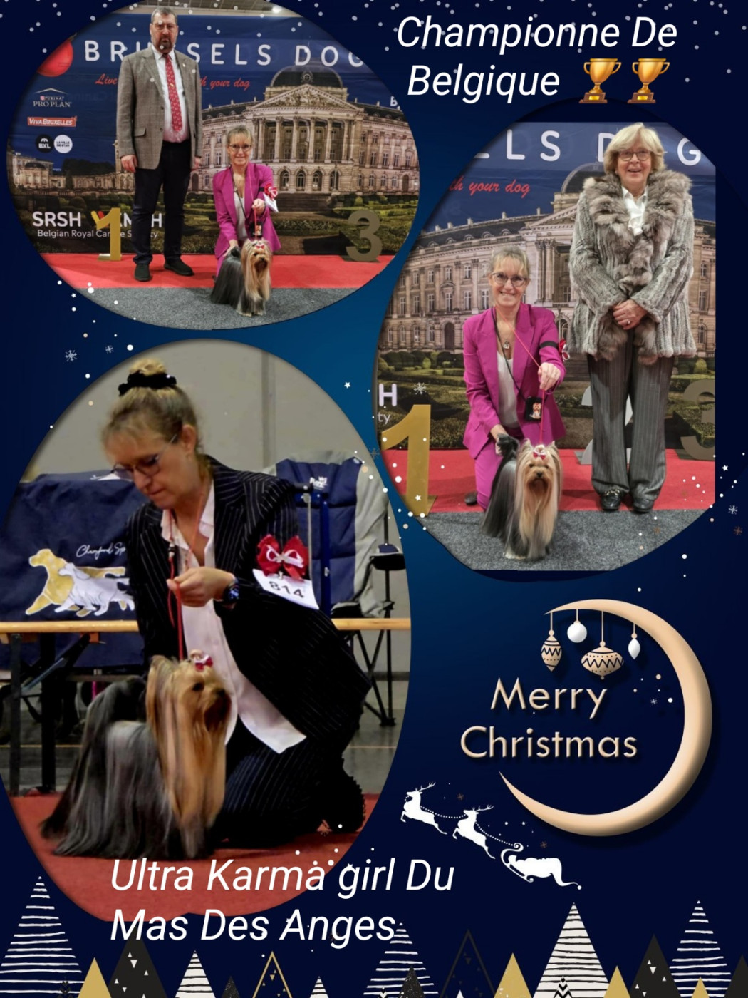 du Mas des Anges - Championne De Belgique