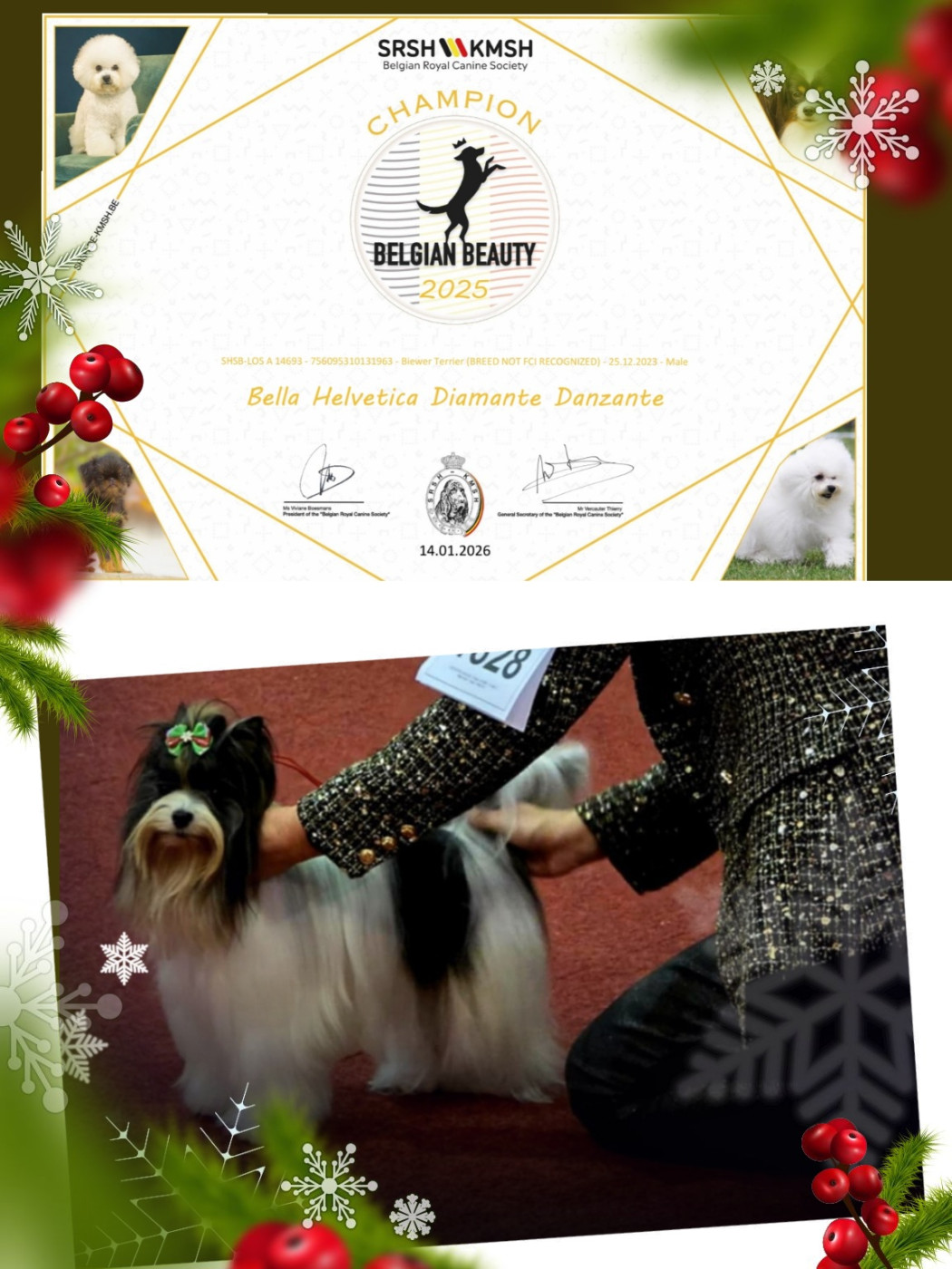 Brussels Dog Show 12/14 Décembre 2025