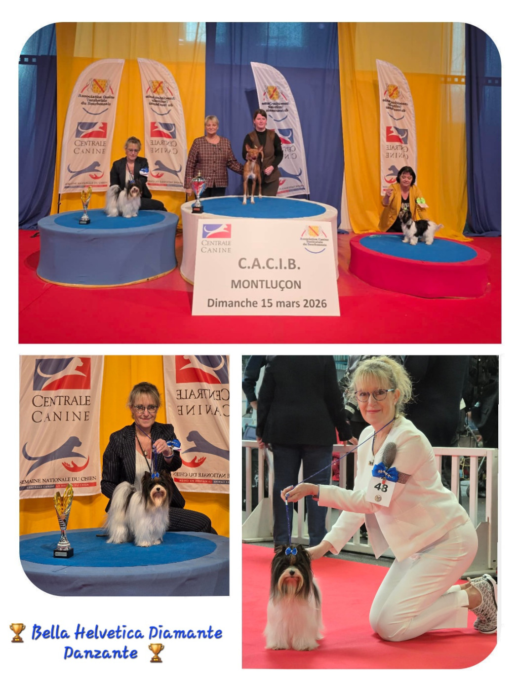 Régionale d élevage / CACIB Spéciale de Race Montluçon 14/15 mars