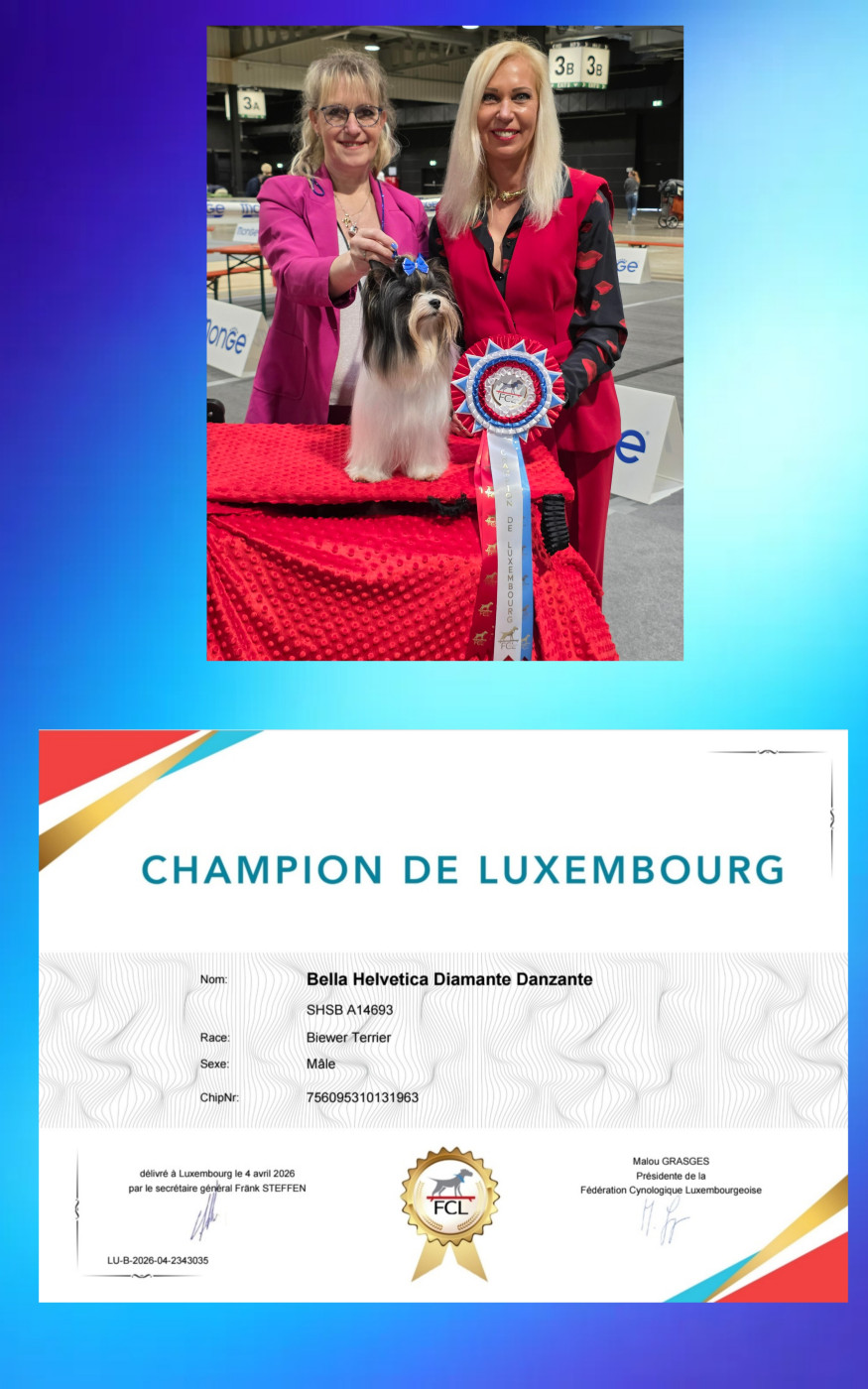 Dog Show Luxembourg 4 avril 2026