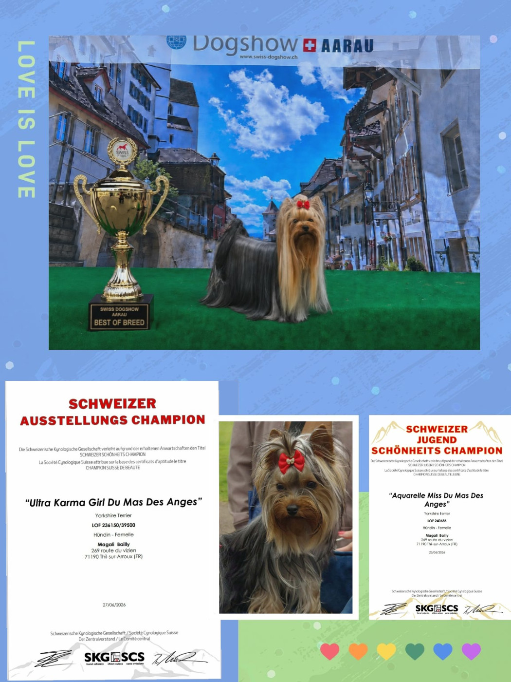 du Mas des Anges - Suisse Dog Show 2026