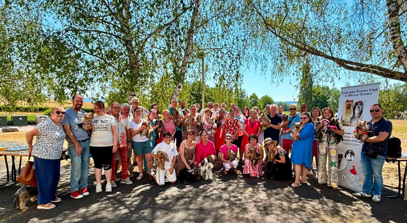 Amicale du Club du Yorkshire et Biewer Terrier 2026