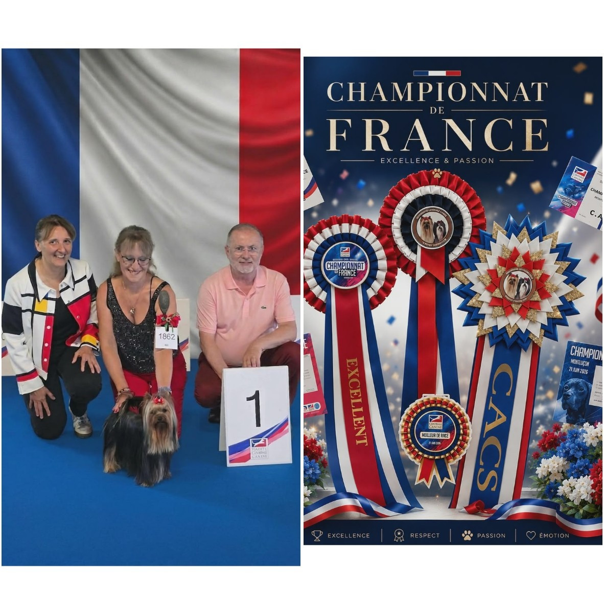 Championnat De France