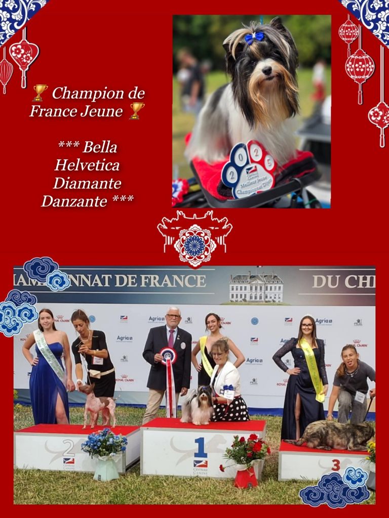 Championnat De France 2025