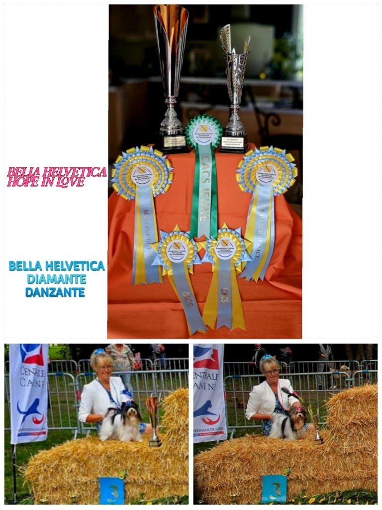 CACS Dompierre sur Besbre 