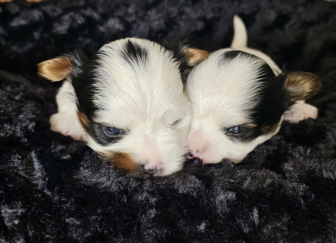 Nos Bébés !!
